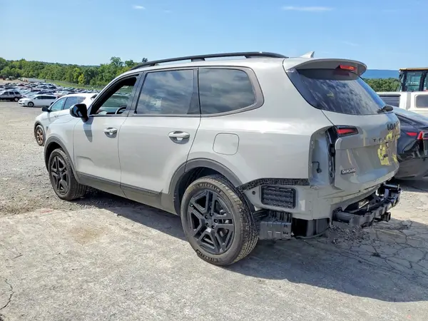 5XYP3DGC8SG726568 — 2025 Kia Telluride, фото 2 с аукциона Copart, Задняя часть