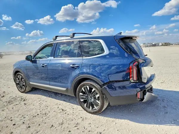 5XYP5DGC1SG664568 — 2025 Kia Telluride, фото 2 с аукциона Copart, Задняя часть