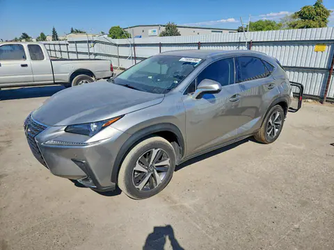 JTJYARBZXJ2110363 — 2018 Lexus NX 300, Задняя часть (Rear End), фото до ремонта