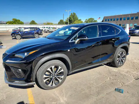 JTJBARBZ2K2185825 — 2019 Lexus NX 300, Град (Hail), фото до ремонта