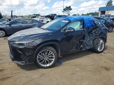2T2HKCEZ4SC053682 — 2025 Lexus NX 350H, Боковая часть (Side), фото до ремонта