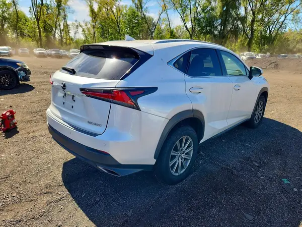 JTJBARBZ6K2186928 — 2019 Lexus NX, фото 3 с аукциона Copart, Подтопление