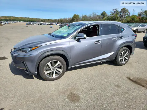 JTJBARBZ9K2180718 — 2019 Lexus NX, Верхняя часть / Крыша, фото до ремонта