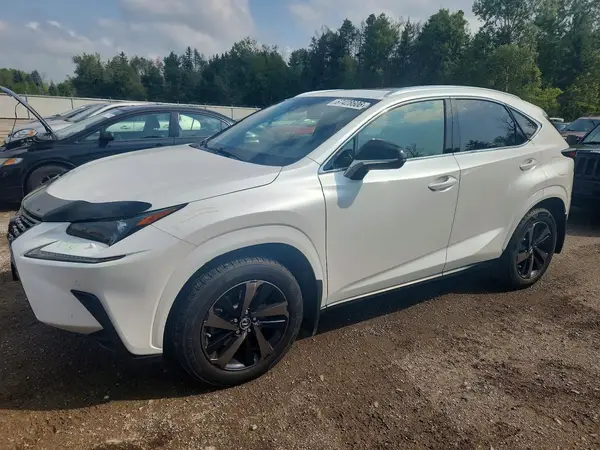 JTJGARDZ6L2229491 — 2020 Lexus NX, Передняя часть (Front End), фото до ремонта