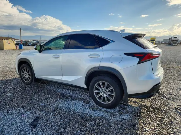 JTJDARDZ9L5003253 — 2020 Lexus NX, фото 2 с аукциона Copart, Задняя часть
