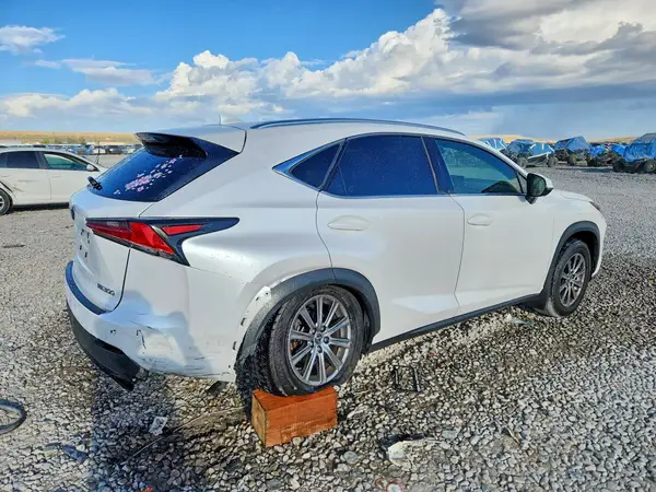 JTJDARDZ9L5003253 — 2020 Lexus NX, фото 3 с аукциона Copart, Задняя часть