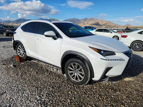 JTJDARDZ9L5003253 — 2020 Lexus NX, фото 4 с аукциона Copart, Задняя часть