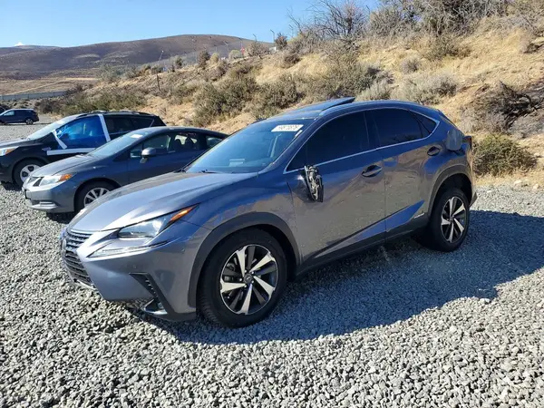 JTJGJRDZ5L5007099 — 2020 Lexus NX, Боковая часть (Side), фото до ремонта