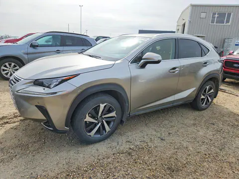 JTJHARDZ9M2238885 — 2021 Lexus NX, Задняя часть (Rear End), фото до ремонта
