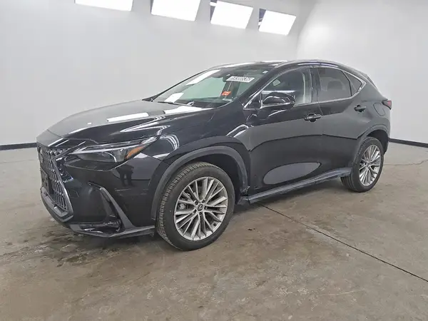 2T2HGCEZ4RC048672 — 2024 Lexus NX, Задняя часть (Rear End), фото до ремонта