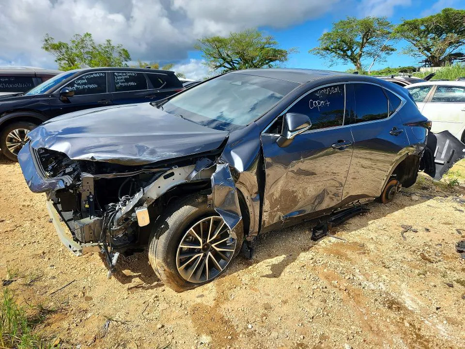 2024 LEXUS NX VIN JTJGDCAZ8R2010534 фото 1
