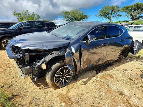 JTJGDCAZ8R2010534 — 2024 Lexus NX, Передняя часть (Front End), фото до ремонта