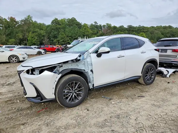 2T2AKCEZ1RC017038 — 2024 Lexus NX, Передняя часть (Front End), фото до ремонта