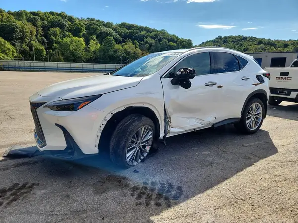 2T2HGCEZ4RC032326 — 2024 Lexus NX, Передняя часть (Front End), фото до ремонта