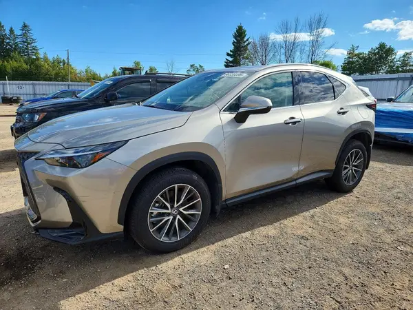 2T2GGCEZ7SC071302 — 2025 Lexus NX, Вандализм (Vandalism), фото до ремонта