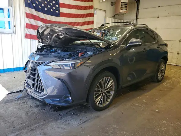 JTJHKCEZ6S2066854 — 2025 Lexus NX, Передняя часть (Front End), фото до ремонта