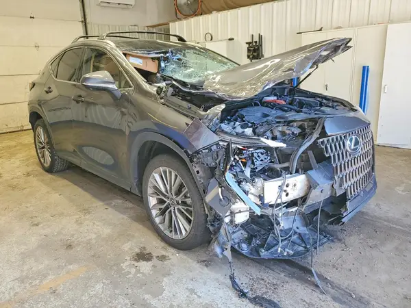 JTJHKCEZ6S2066854 — 2025 Lexus NX, фото 4 с аукциона Copart, Передняя часть