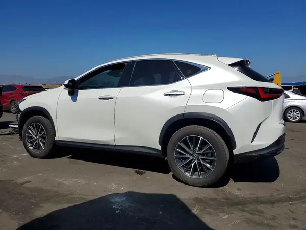 JTJGKCEZXS2051687 — 2025 Lexus NX, фото 2 с аукциона Copart, Передняя часть