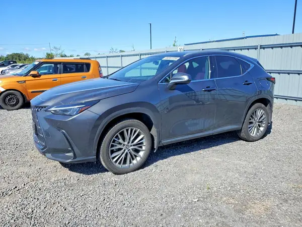 2T2GKCEZ3SC044595 — 2025 Lexus NX, Вандализм (Vandalism), фото до ремонта