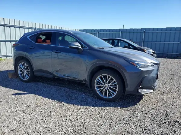 2T2GKCEZ3SC044595 — 2025 Lexus NX, фото 4 с аукциона Copart 01.10.2026, Вандализм
