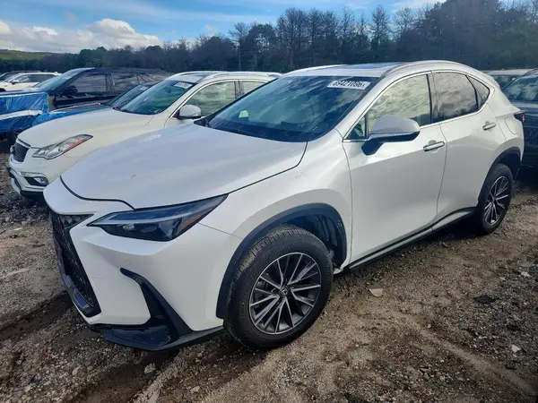 2T2AGCEZ5SC083292 — 2025 Lexus NX, Передняя часть (Front End), фото до ремонта