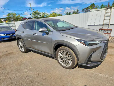 2026 LEXUS NX VIN 2T2HGCEZ4TC122857 фото 4