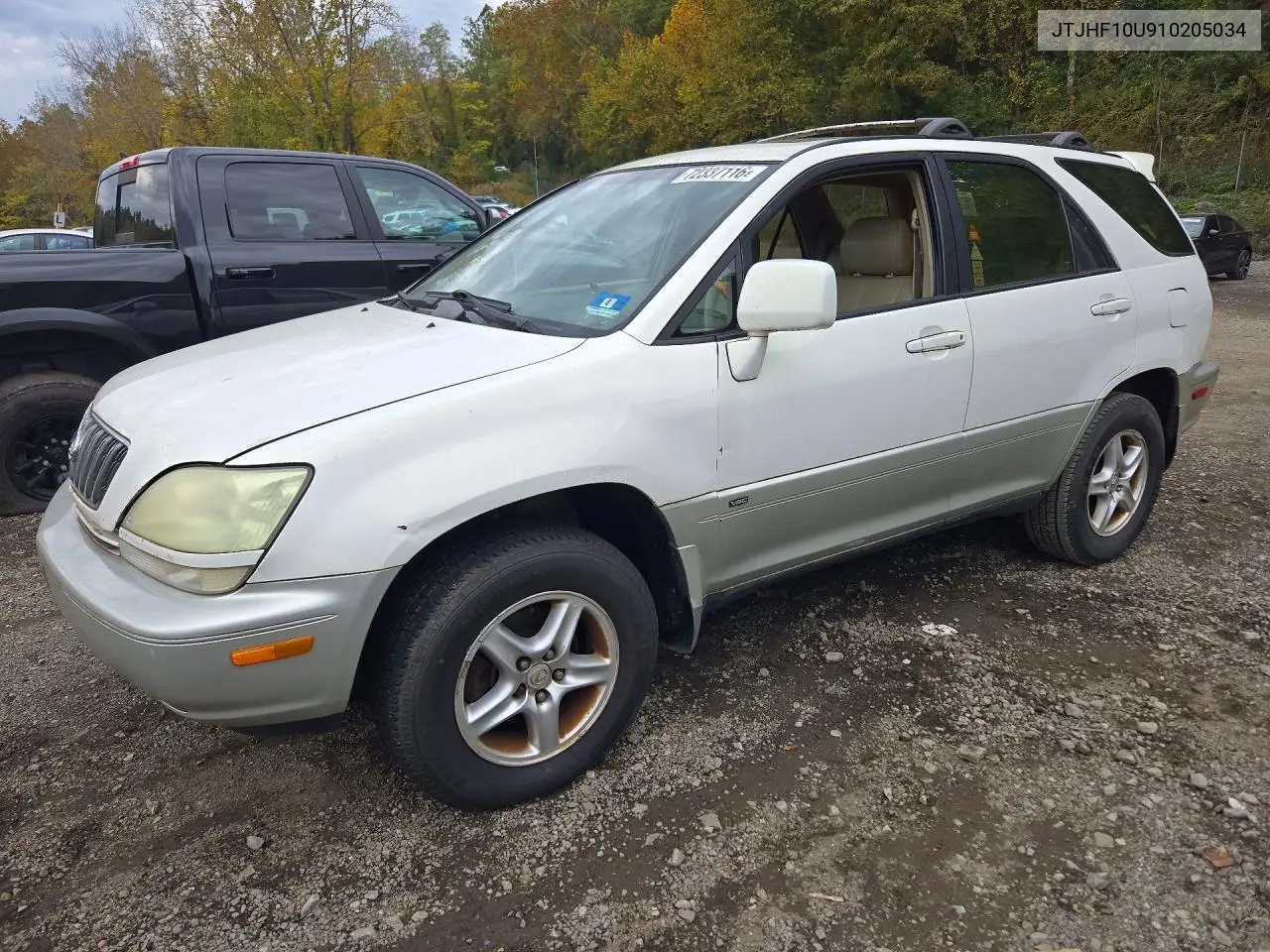JTJHF10U910205034 Lexus RX 2001 — повреждение Мелкие вмятины и царапины, фото до ремонта