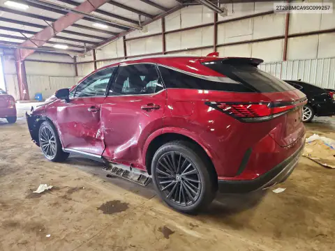 2T2BBMCA9SC099257 — 2025 Lexus RX, фото 2 с аукциона Copart, Боковая часть