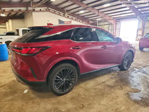 2T2BBMCA9SC099257 — 2025 Lexus RX, фото 3 с аукциона Copart, Боковая часть