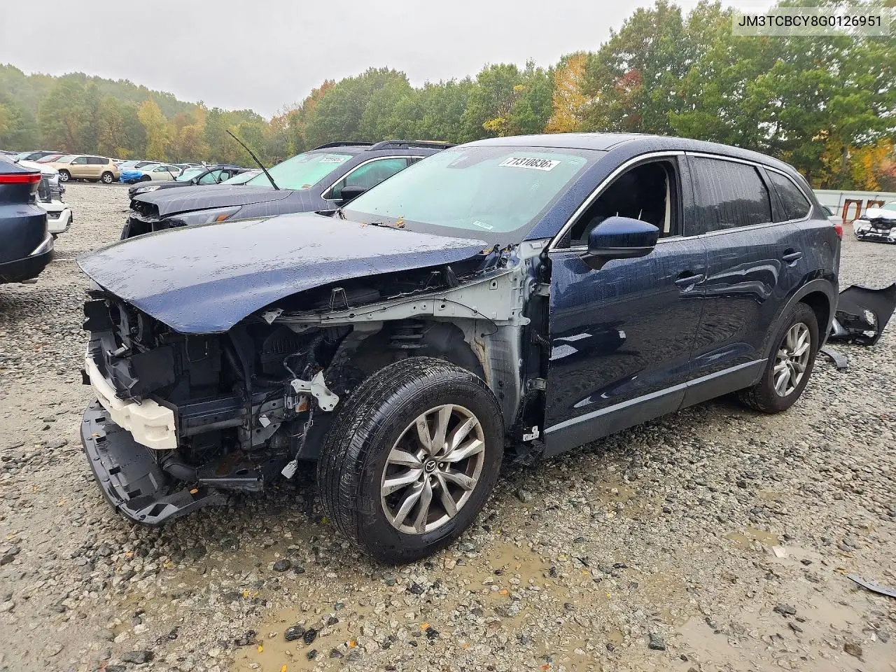 2016 Mazda Cx-9 Touring VIN JM3TCBCY8G0126951 фото 1