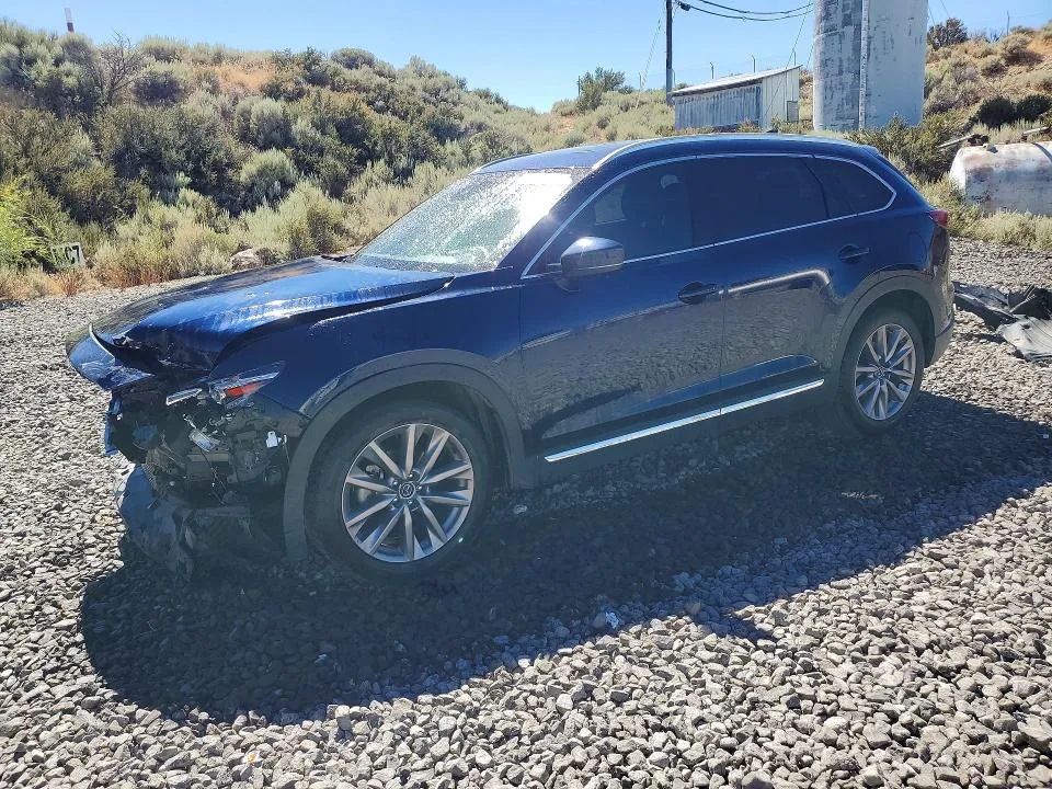 2022 Mazda CX-9 VIN JM3TCBDYXN0616027 фото 1