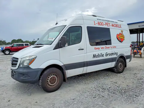 8BTPE7DD6GE125564 — 2016 Mercedes-Benz Sprinter, Пожар салона (Burn - Interior), фото до ремонта