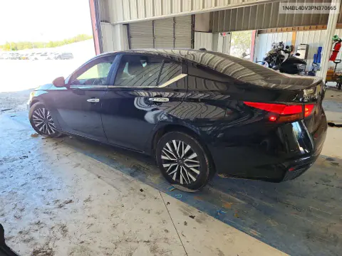 2023 Nissan Altima Sv VIN 1N4BL4DV3PN370665 фото 2