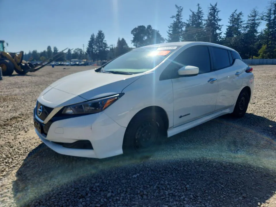 2019 Nissan Leaf VIN 1N4AZ1CP5KC307244 фото 1