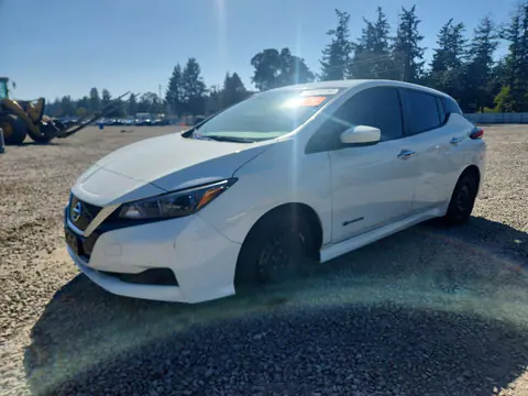 1N4AZ1CP5KC307244 — 2019 Nissan Leaf, Задняя часть (Rear End), фото до ремонта
