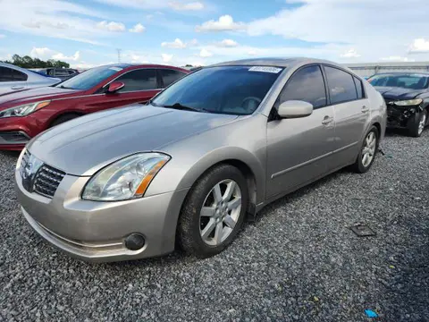 1N4BA41E25C837092 — 2005 Nissan Maxima, Передняя часть (Front End), фото до ремонта