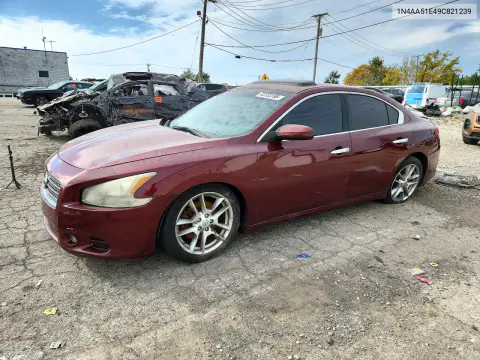 1N4AA51E49C821239 — 2009 Nissan Maxima, Сторона, фото до ремонта
