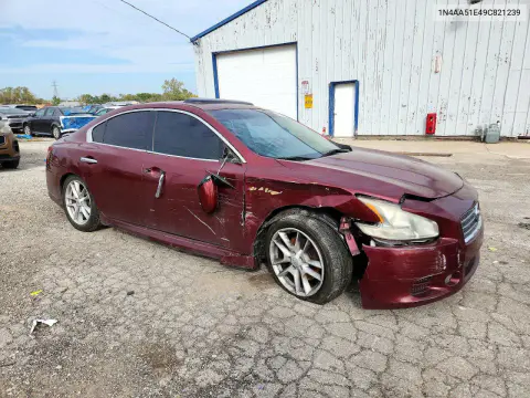 2009 Nissan Maxima 3.5 S VIN 1N4AA51E49C821239 фото 4