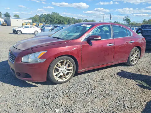 1N4AA5AP7AC827557 — 2010 Nissan Maxima, Боковая часть (Side), фото до ремонта