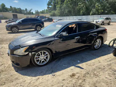 1N4AA5AP2BC860127 — 2011 Nissan Maxima, Передняя часть (Front End), фото до ремонта