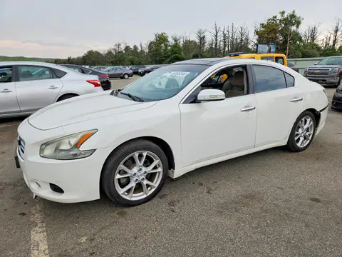 1N4AA5AP7CC816514 — 2012 Nissan Maxima, Задняя часть (Rear End), фото до ремонта