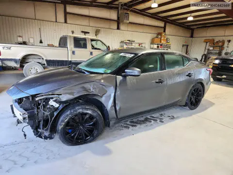 1N4AA6APXHC442669 — 2017 Nissan Maxima, Передняя часть, фото до ремонта