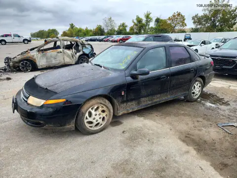 1G8JU54F62Y520982 — 2002 Saturn LS, Естественный износ, фото до ремонта