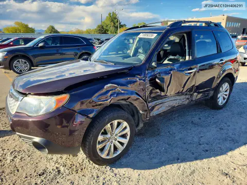JF2SHAEC1DH406291 — 2013 Subaru Forester, Сторона, фото до ремонта