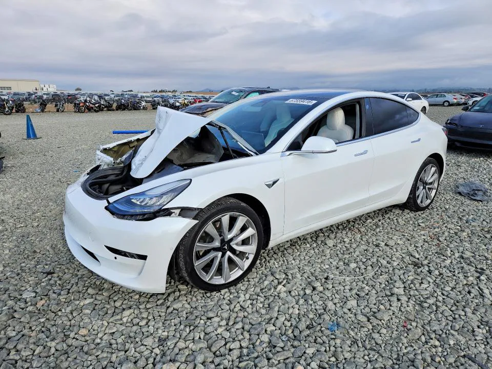 2019 Tesla MODEL 3 VIN 5YJ3E1EB2KF494820 фото 1