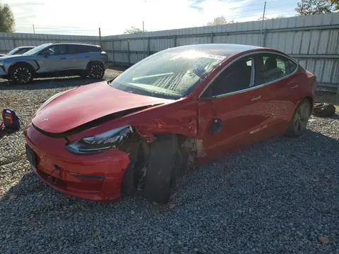 5YJ3E1EA5LF644542 — 2020 Tesla Model 3, Передняя часть (Front End), фото до ремонта
