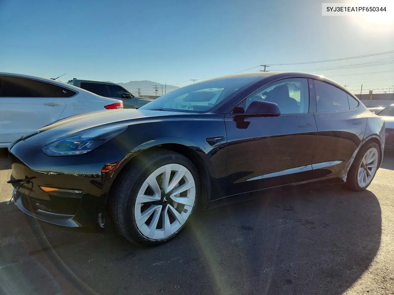 2023 Tesla Model 3 VIN 5YJ3E1EA1PF650344 фото 1