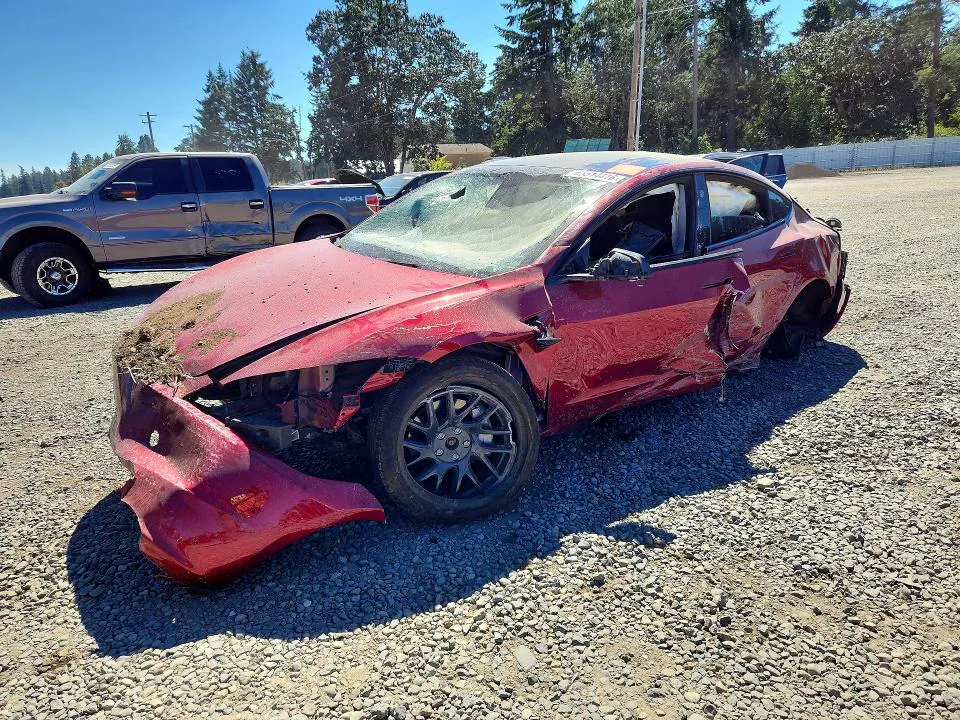 2024 Tesla MODEL 3 VIN 5YJ3E1EB2RF811988 фото 1
