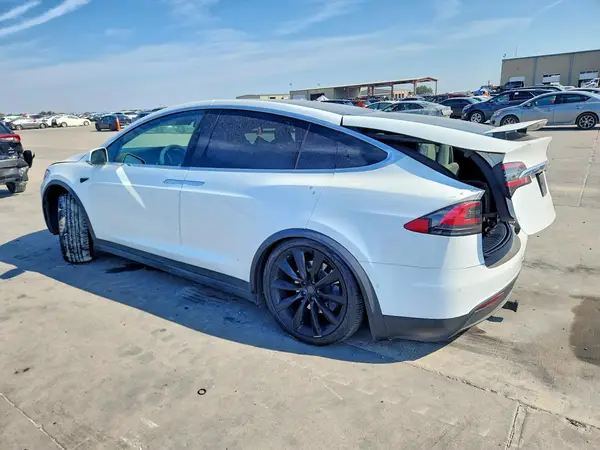5YJXCBE23LF296228 — 2020 Tesla Model X, фото 2 с аукциона Copart, Боковая часть