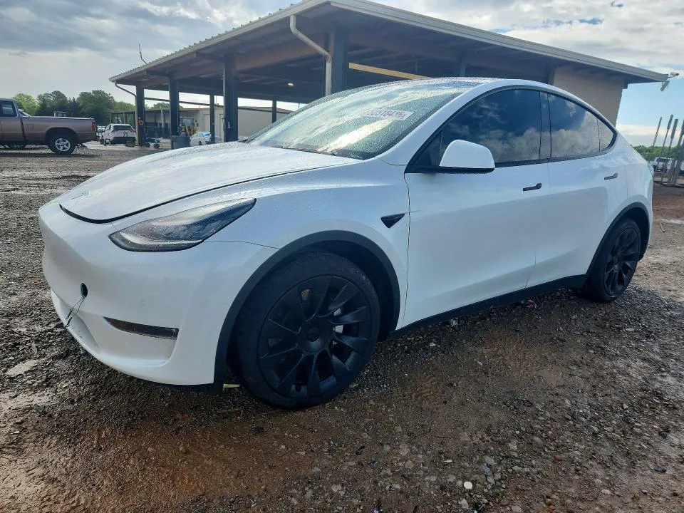 2020 Tesla Model Y VIN 5YJYGDEE5LF034239 фото 1